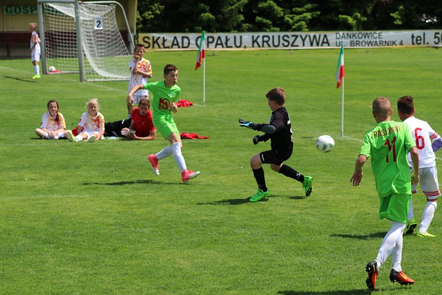 探讨全红婵 探讨全红婵