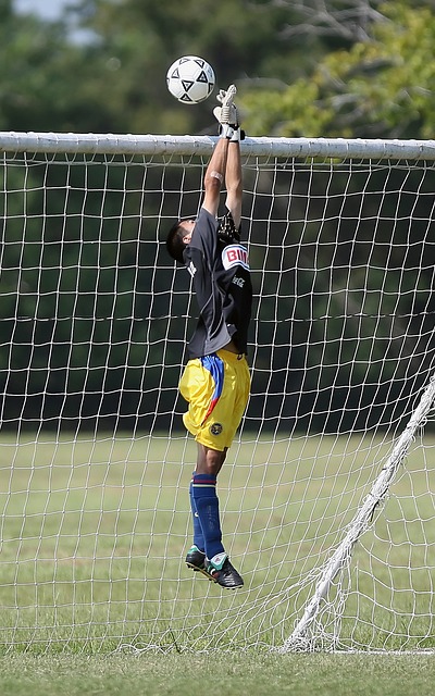 转会谈判的 转会谈判的