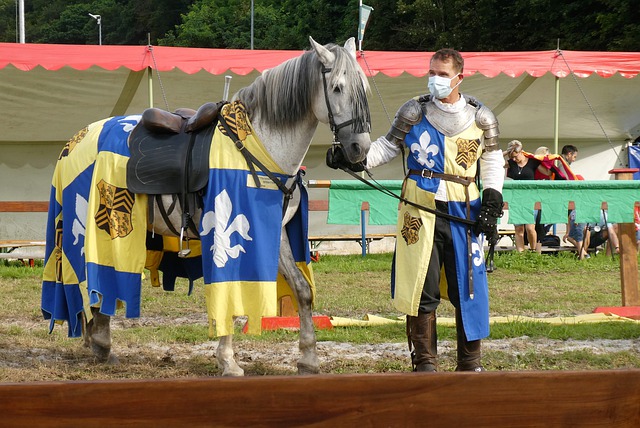 也被视为德 也被视为德